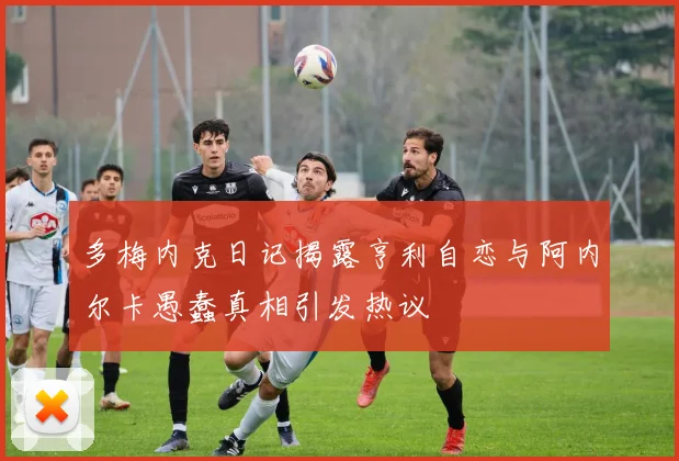 多梅内克日记揭露亨利自恋与阿内尔卡愚蠢真相引发热议