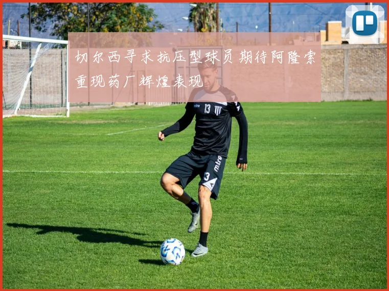 切尔西寻求抗压型球员期待阿隆索重现药厂辉煌表现